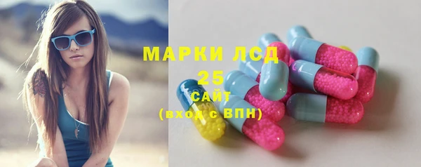 прущий лед Гусев