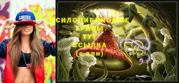 твердый Гусиноозёрск