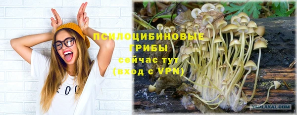 гашиш Гусь-Хрустальный