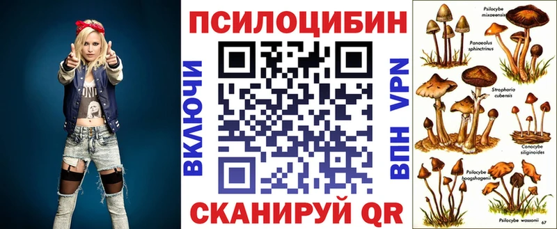 Купить закладки Саров Галлюциногенные грибы Psilocybine cubensis